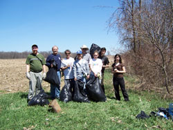 garlic mustard pull